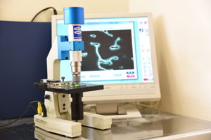 位相差顕微鏡-5 - マウスピース矯正/ホワイトニング/美容歯科は銀座の歯医者|デンタルサロンナチュール銀座